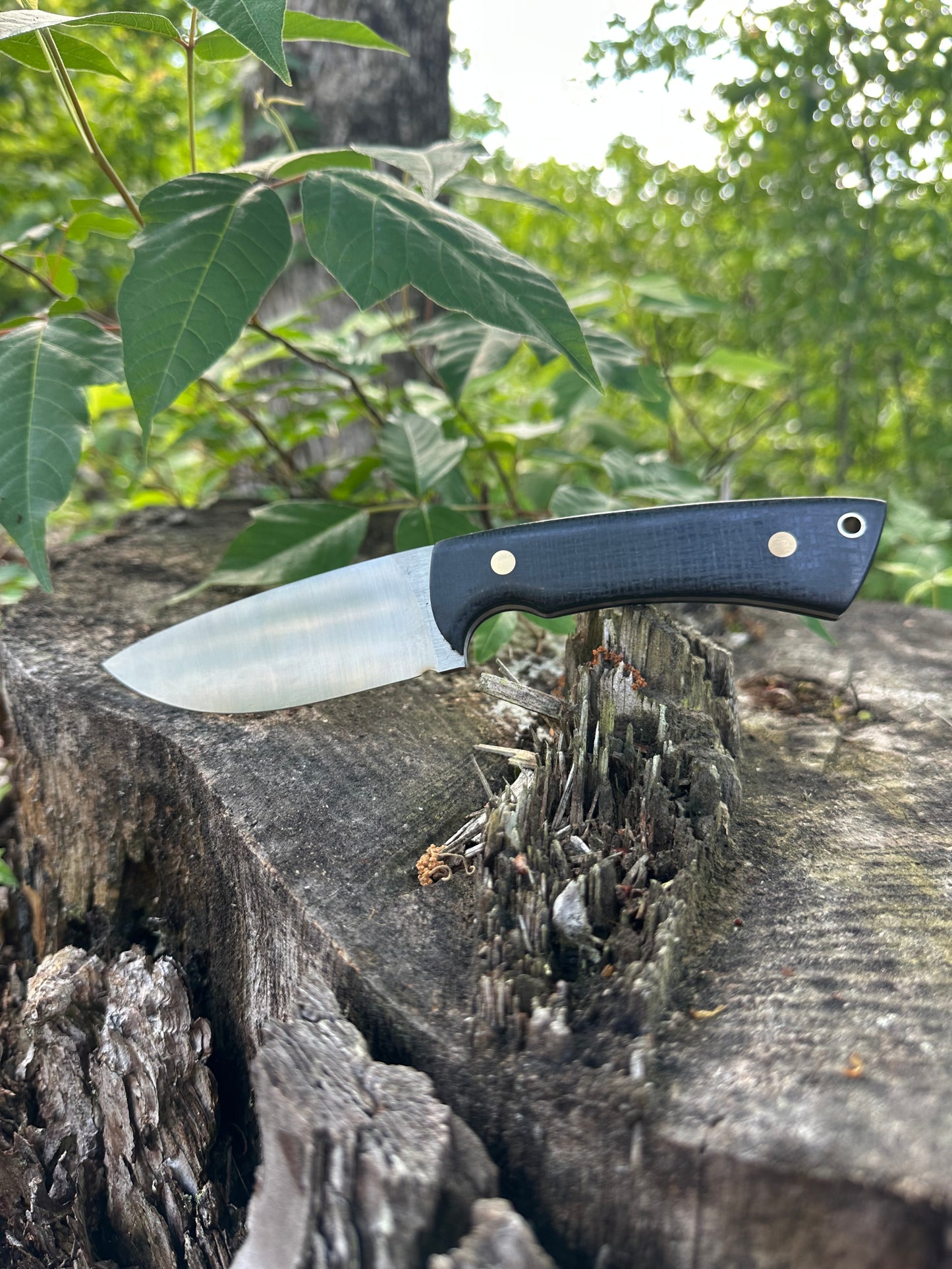 The Woodsmen