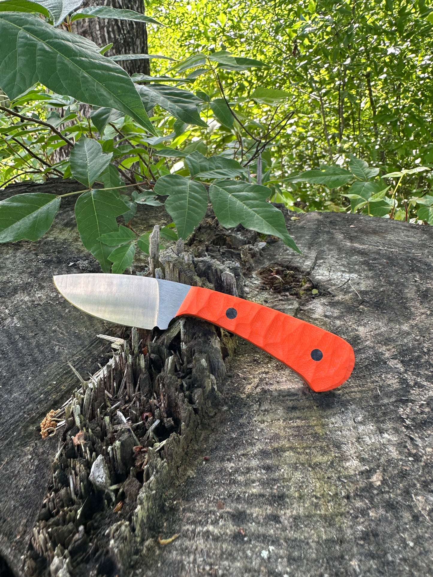 Skinner