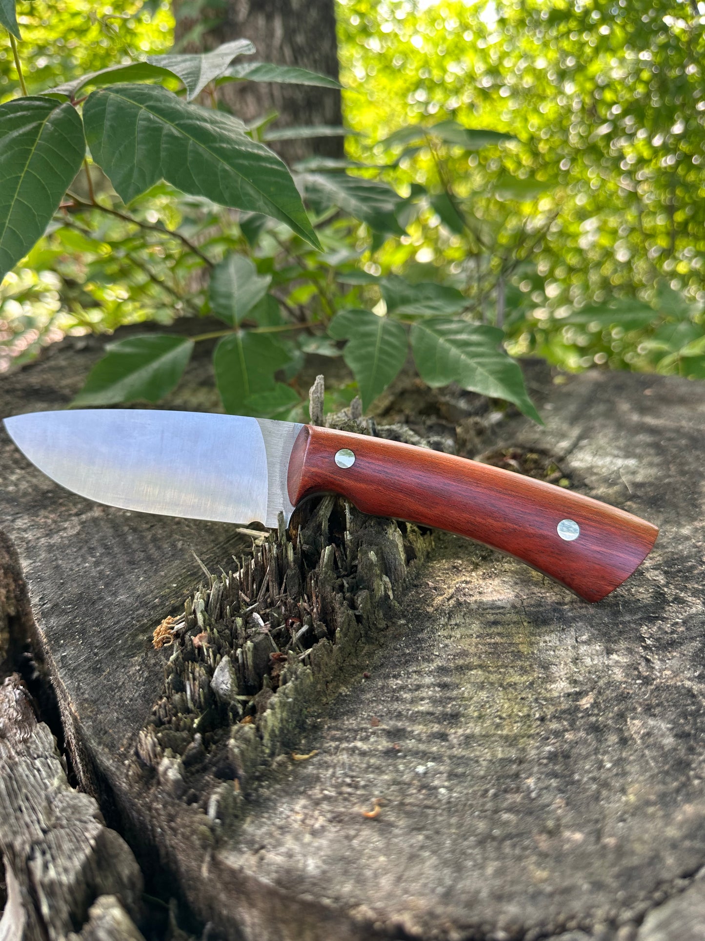 The Woodsmen