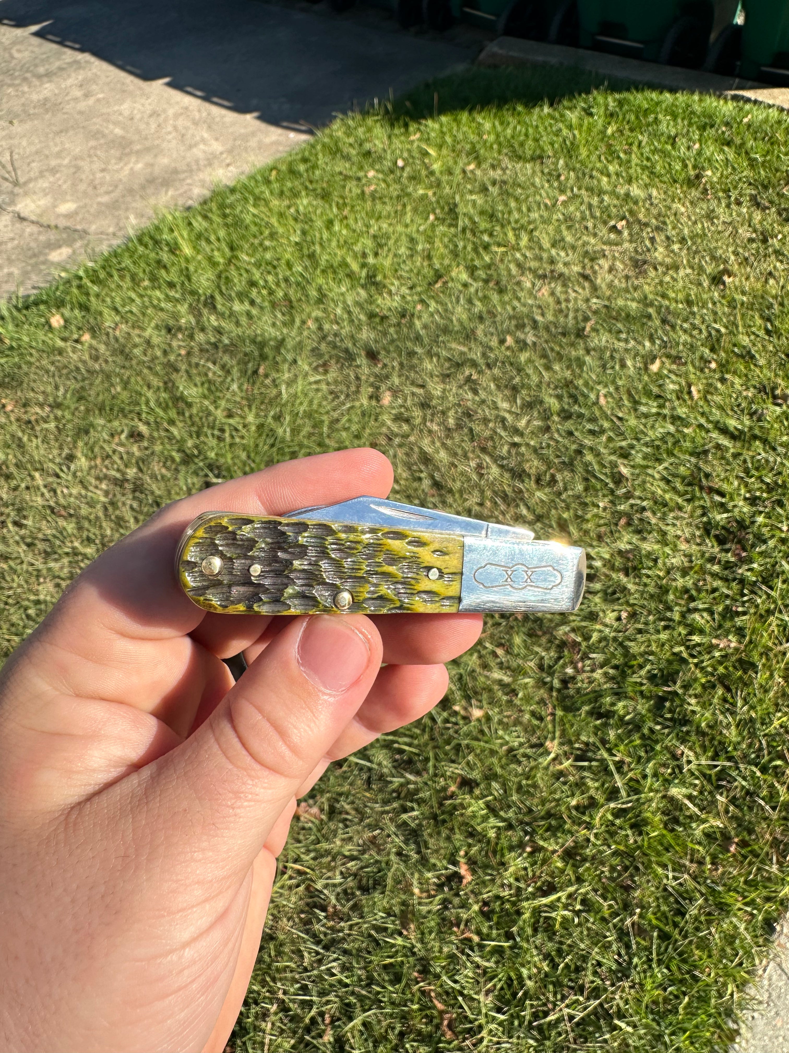 Case Barlow-Swamp Water￼